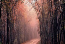 中超俱乐部最新排名榜是怎样的？各队表现背后有哪些故事？