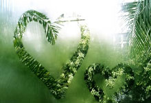 上赛季德甲联赛积分榜有哪些关键看点和变化？